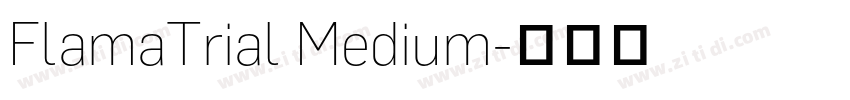 FlamaTrial Medium字体转换